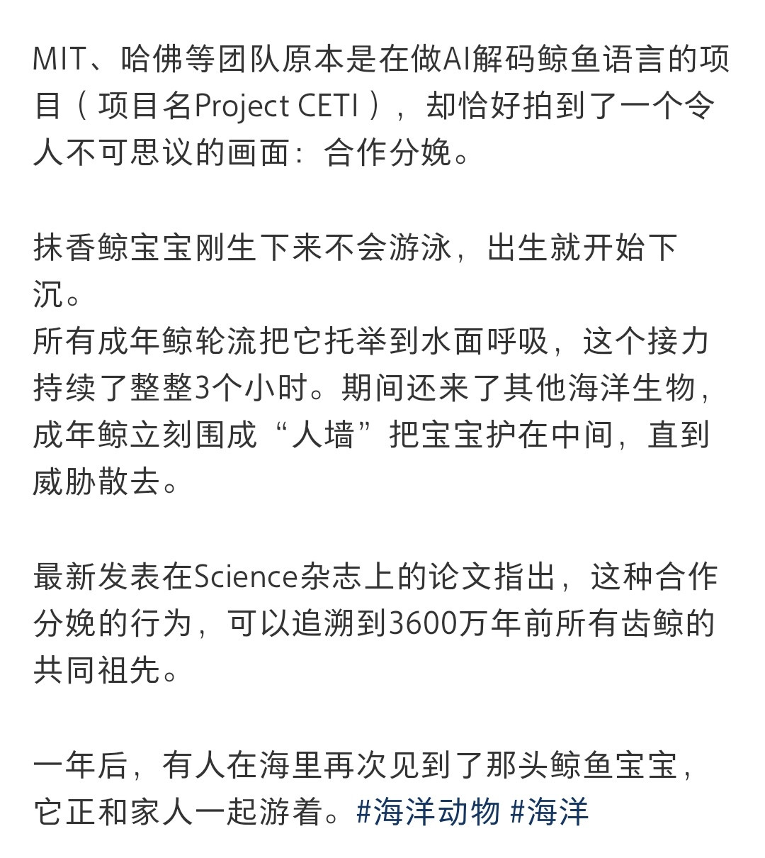 🐳鲸鱼真是一种又强大，又聪明，又充满“人性”的族群