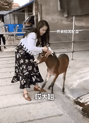 这算不算是侵犯未成年驴权。应该承担道德谴责[捂脸哭]