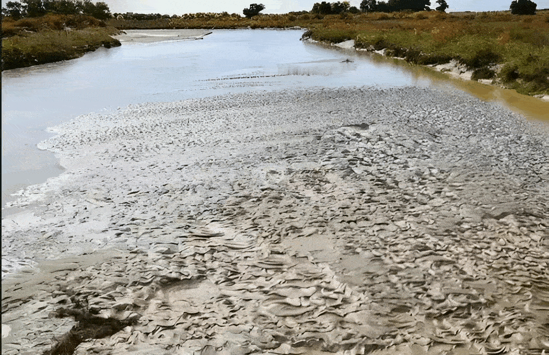 你敢相信吗？太湖底下有2.3米厚的淤泥，而上面的水深还不到1.9米。说白了，过去