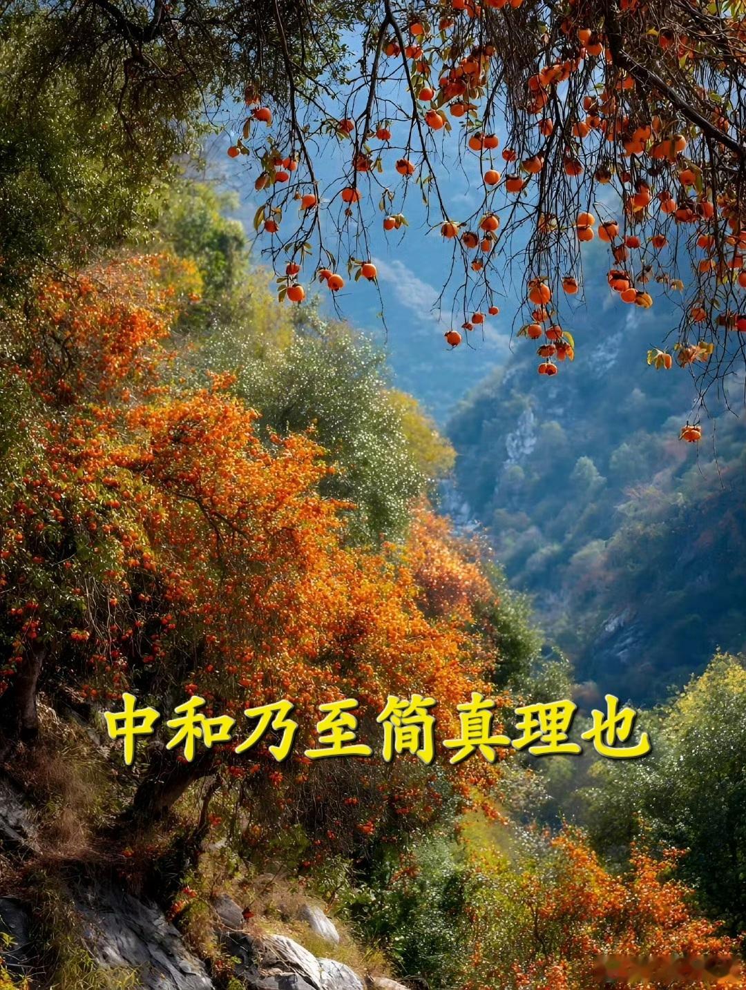 “中和乃至简真理也”核心是中医+中国传统文化的至高核心——“中和”不是“中间态”