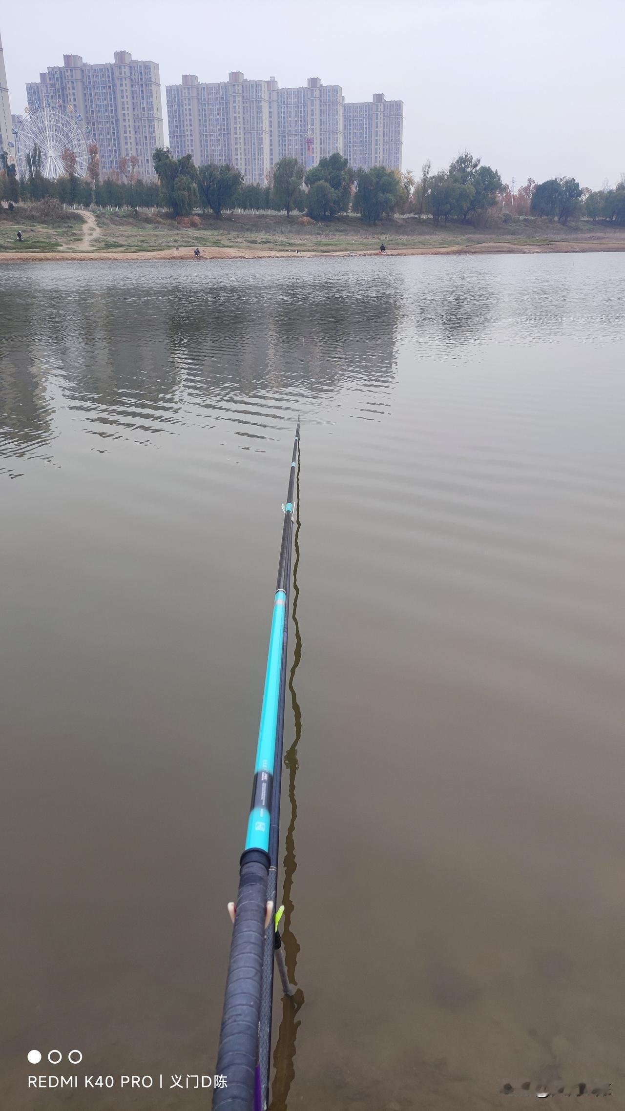 钓友的话是半句都听不得，那嘴里的鱼都是巨物，上岸咬人的那种。今天本来不打算出