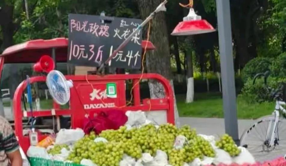 阳光玫瑰葡萄10元3斤无人买，到底是谁惹的祸？阳光玫瑰，曾经被誉为水果界的贵族
