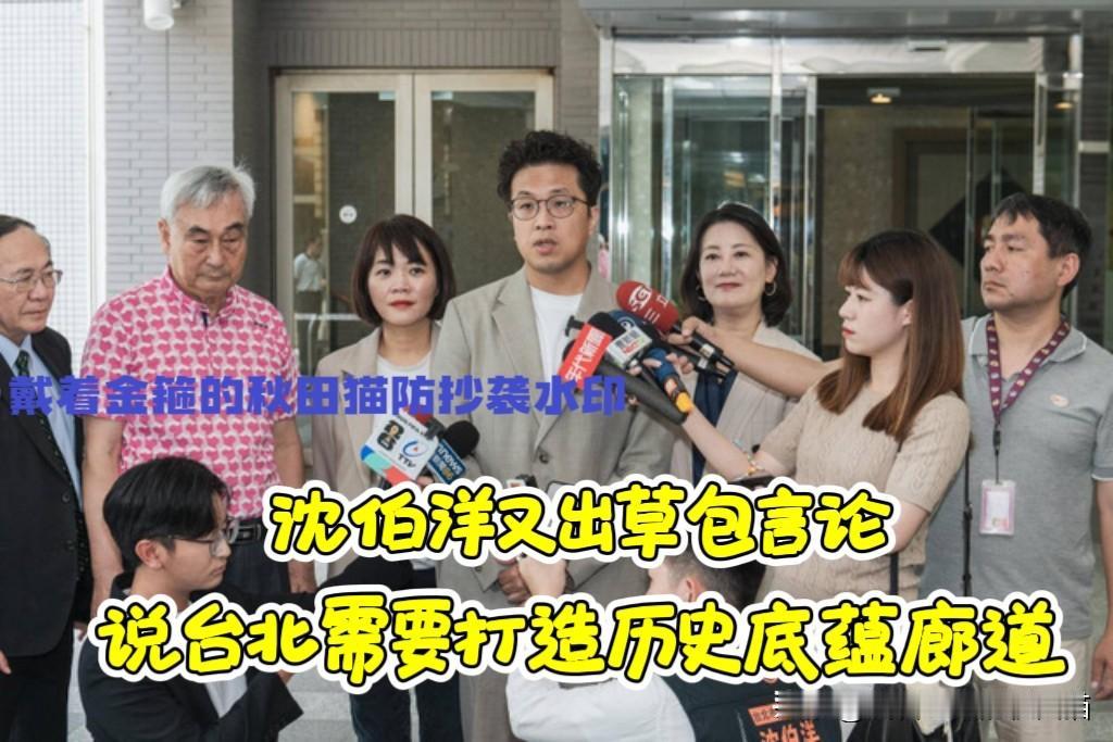 又出“草包”言论现洋相！沈伯洋批评台北不能只有101和故宫，还要有更多具备历史