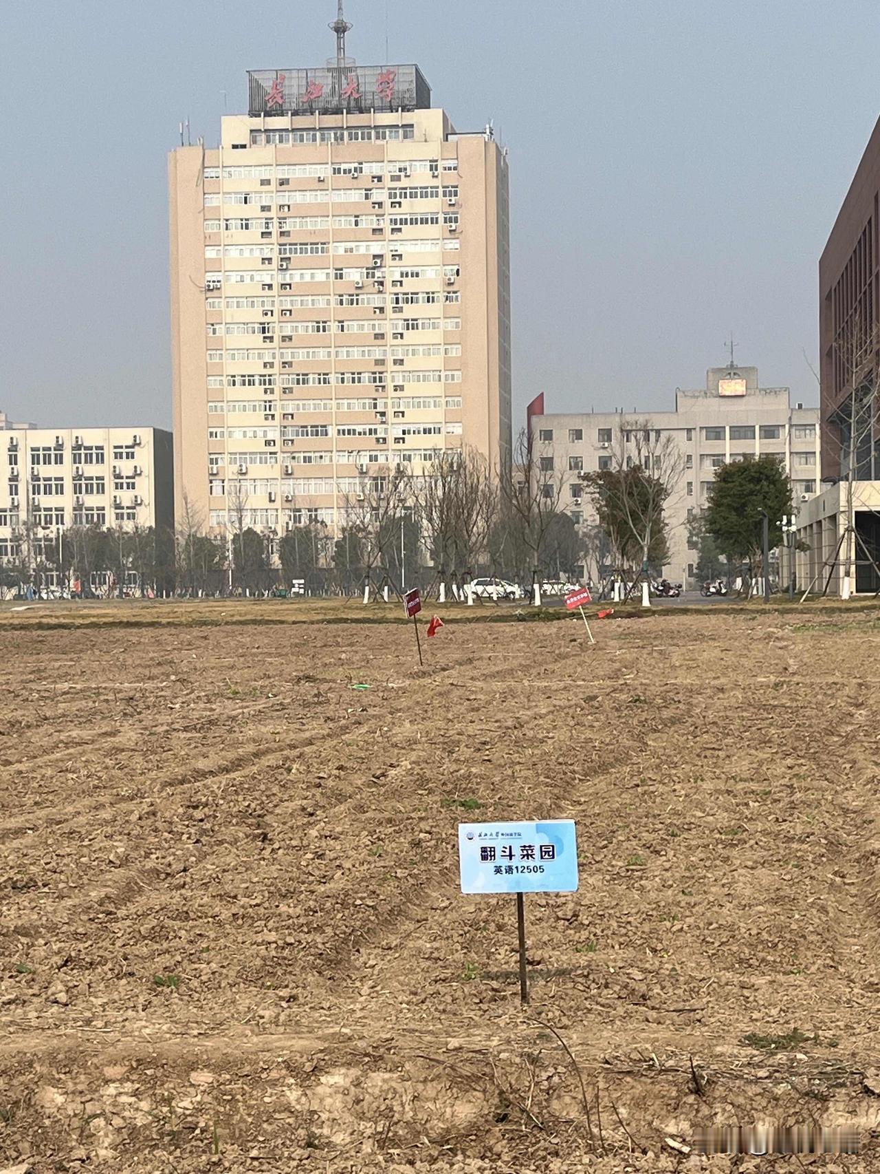 大一新生菜地命名，可真有意思！看到00后小朋友的菜地命名，直接戳中笑点！