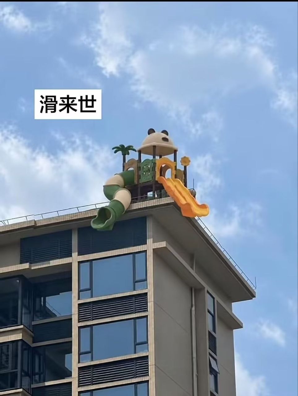 仇人我请来天台玩啦🦋✨​​​