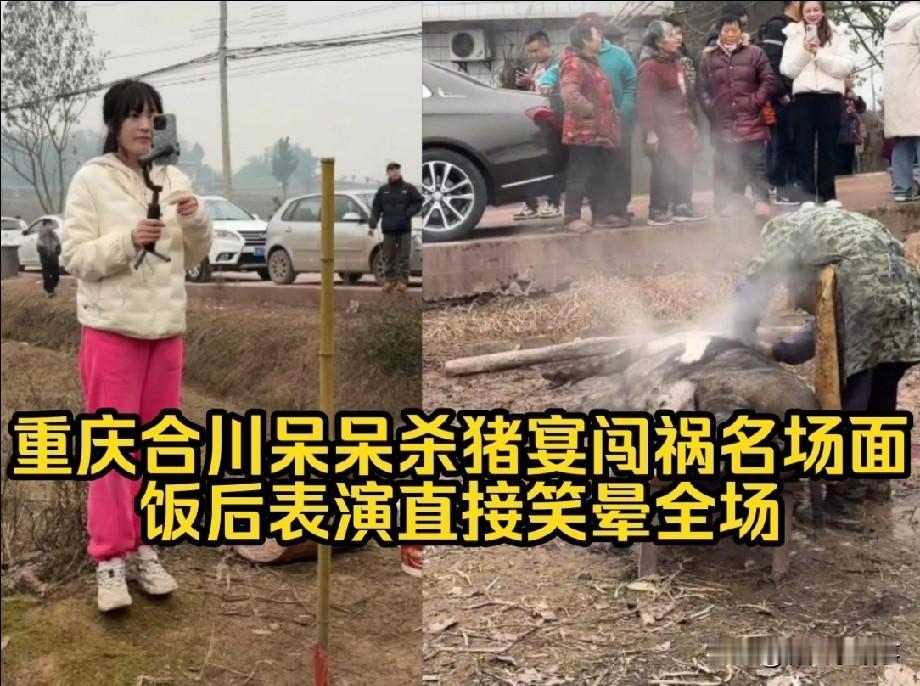 我问我直播行业的朋友，呆呆杀年猪的成功能复制吗他笑出了声要复制，你得有这几个