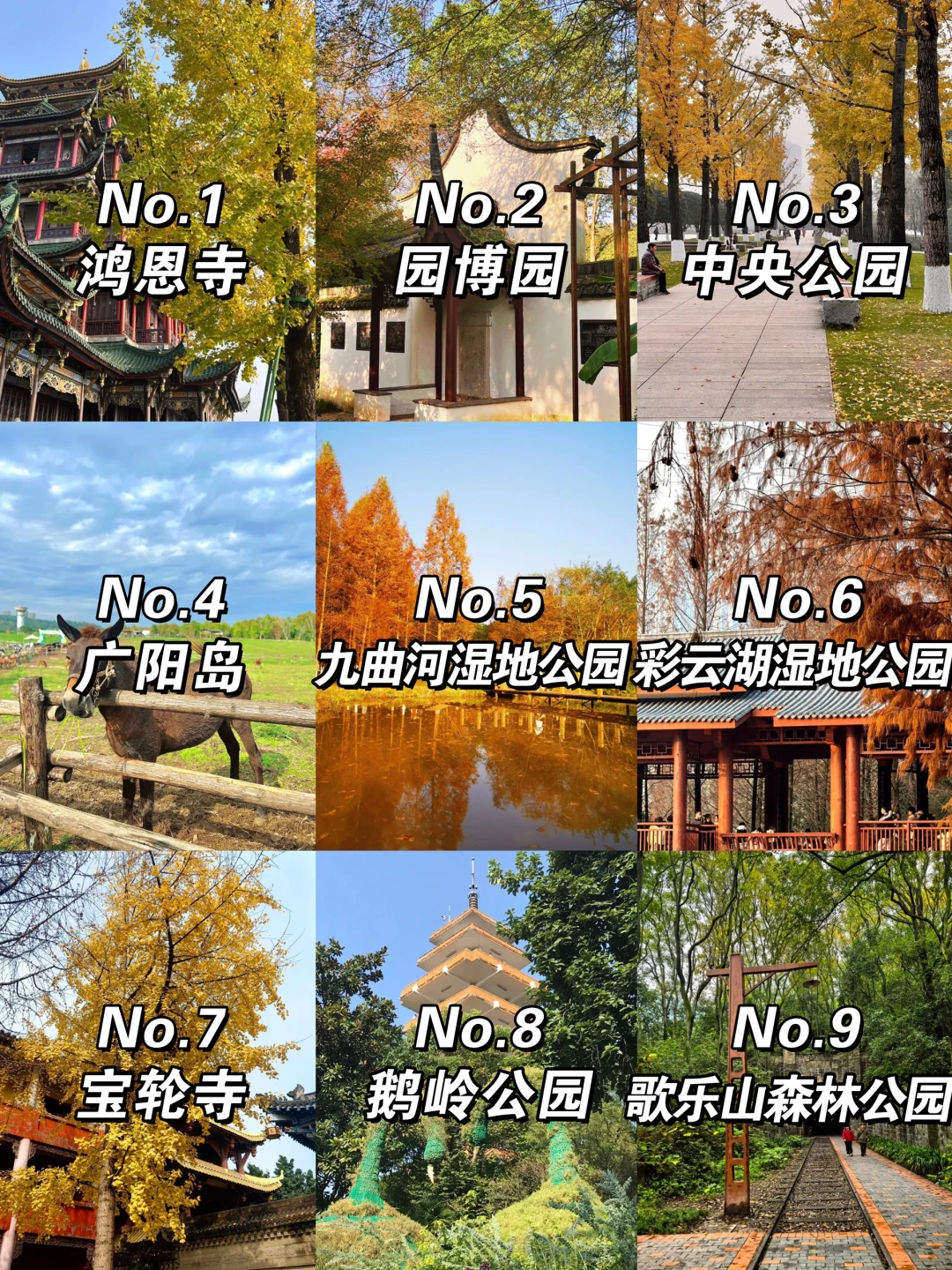 重庆赏秋9个必去景点，错过再等一年‼️