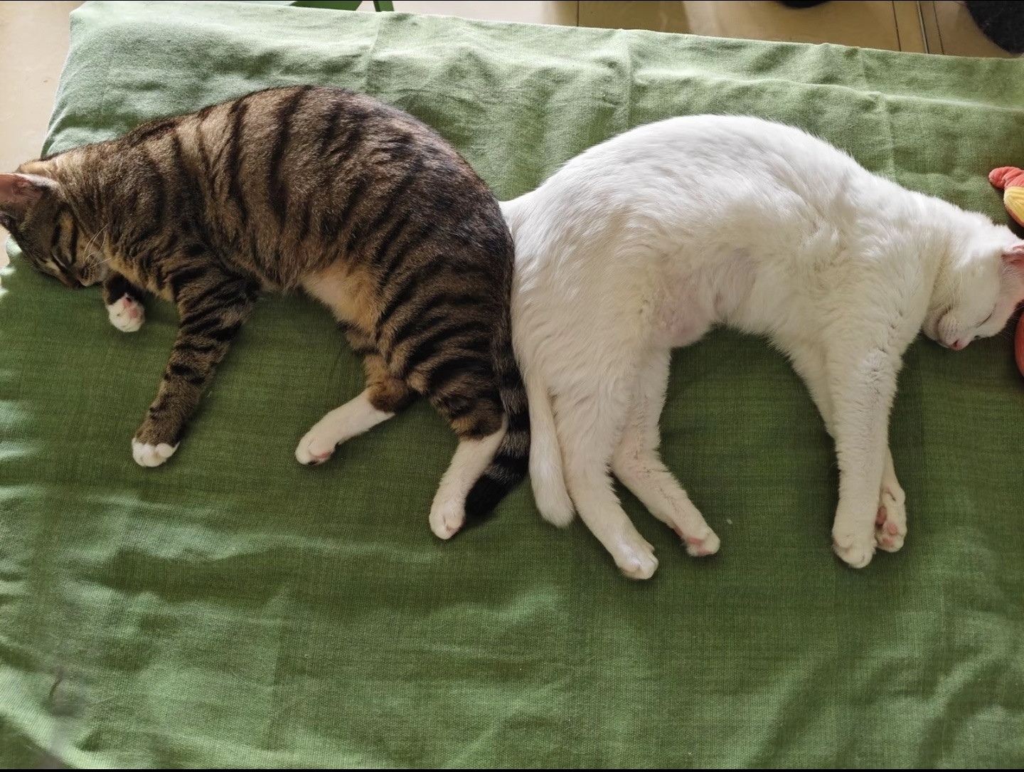 好的时候就睡同方向，吵架了就拿屁股对着对方