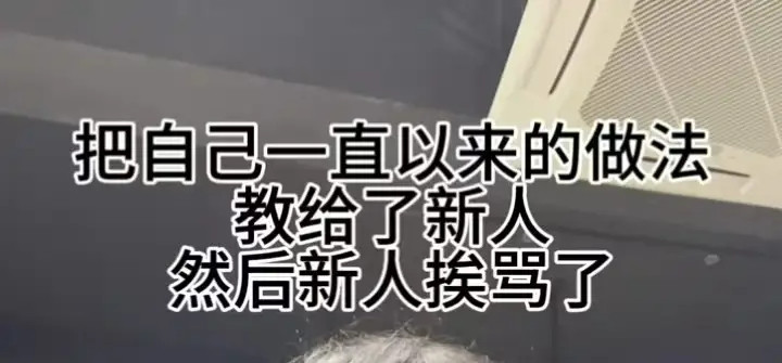 职场老带新牛马巧设连环计，新人误上断头台