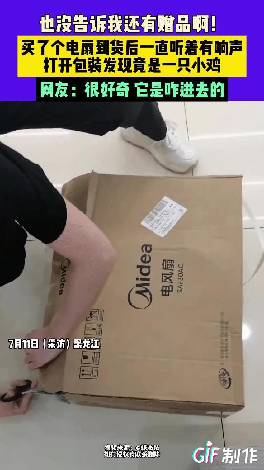 黑龙江一女子在网上网购了一台电风扇，风扇到货后，女子竟然听到快递里面有响声，万万