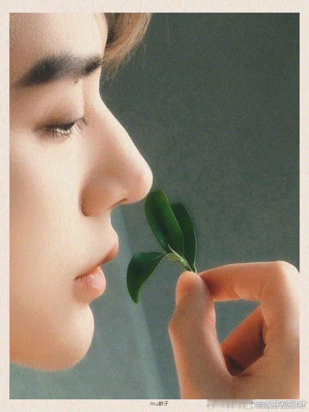 邓为氛围感还是太顶了！｜邓为