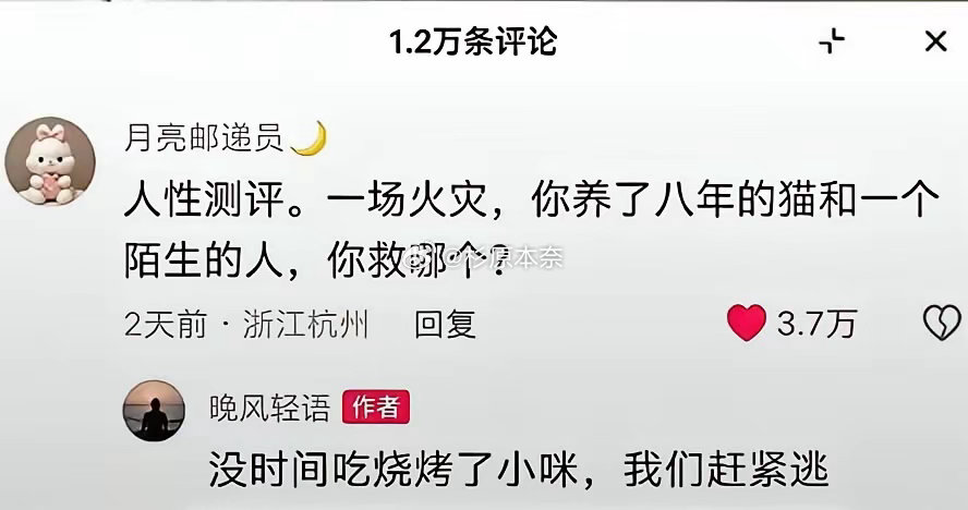 看情况，如果救猫方便就救猫，如果救人方便就救猫