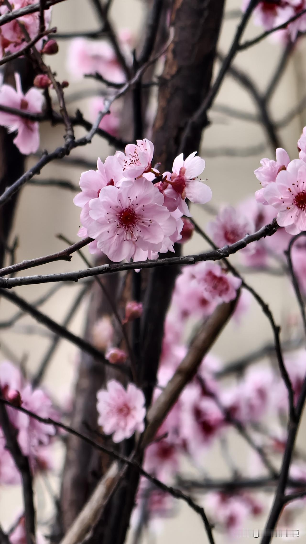 儿子的话震惊了我！00后是不懂这个世界、还是真的不爱钱[捂脸哭]？这不前几天卖车嘛