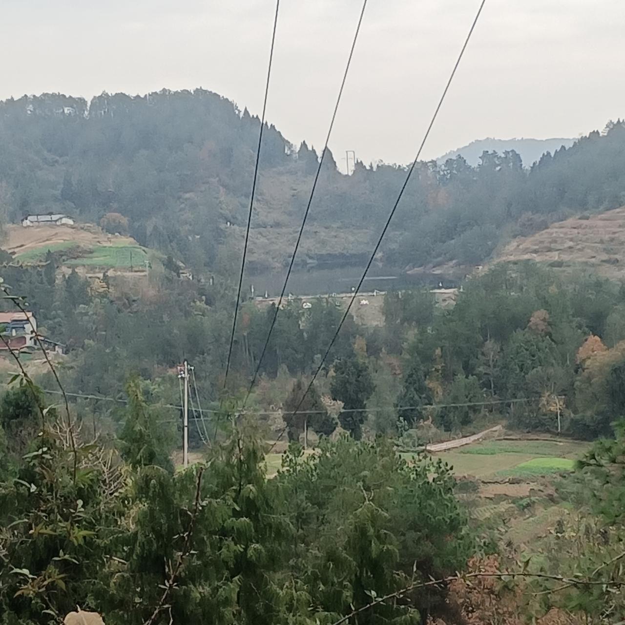 山间小路，绿树成荫，宁静祥和。