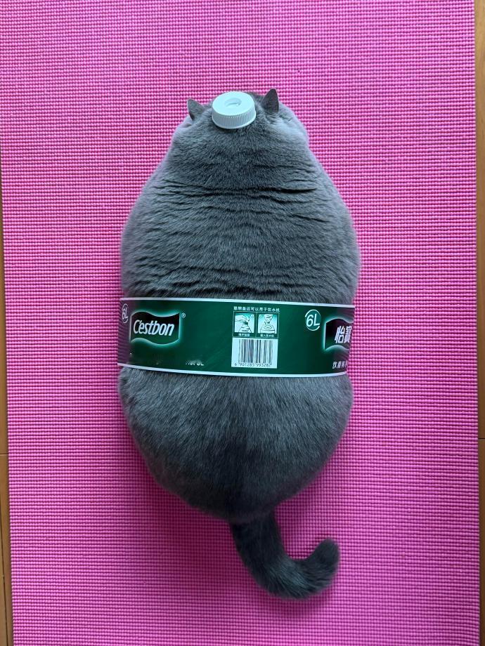 请大家喝一桶小猫水