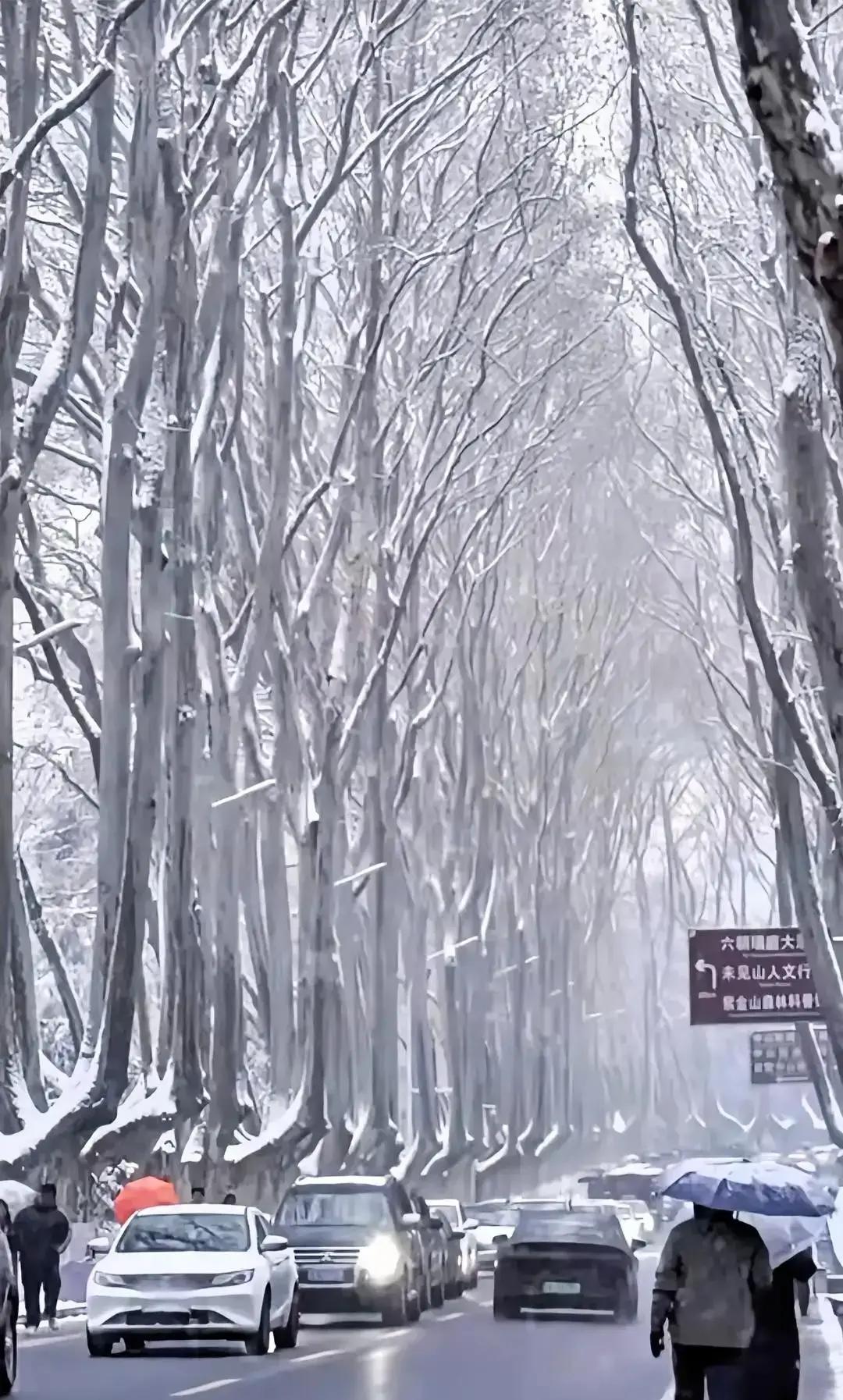 南京一场不到指甲盖厚的雪，直接把早高峰冻成停车场。气象局前一天下午就发了黄色