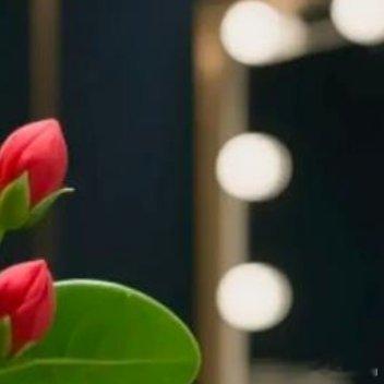 努力的意义，不在于让你一定取得多大的成就，只是让你在平凡的日子里，活得比原来那个