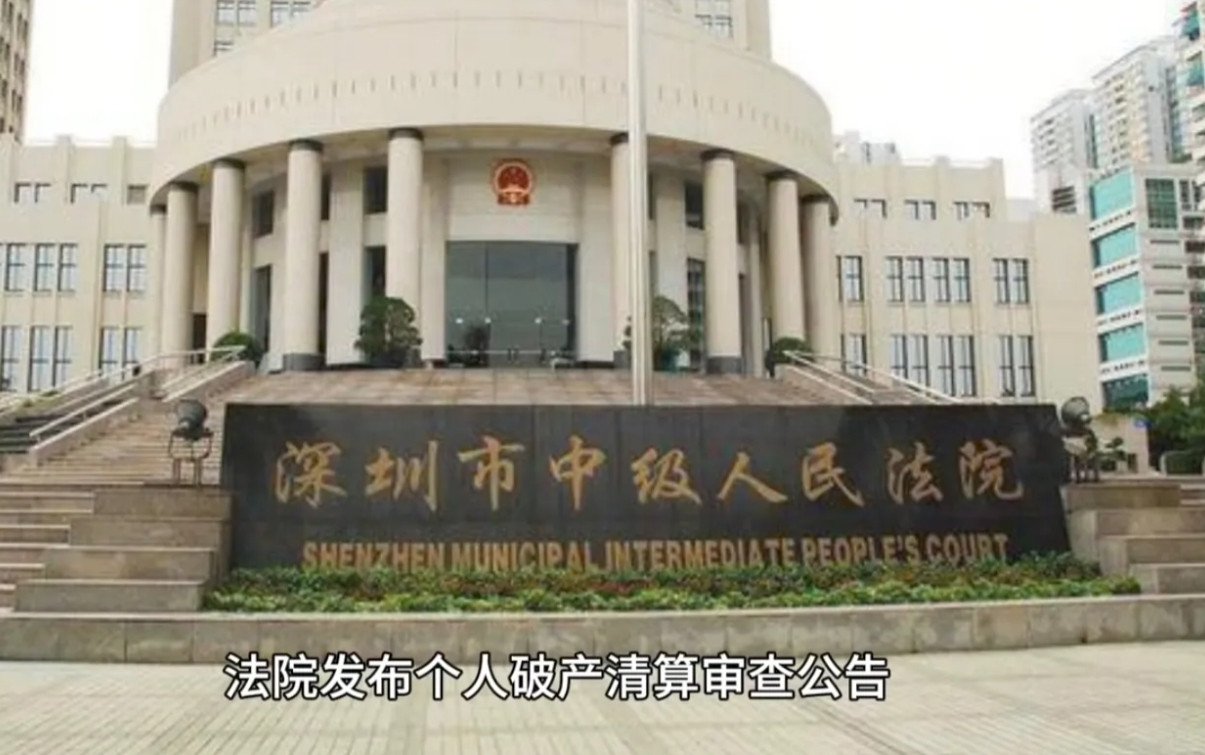 这回网友彻底惊住了！原因竟然是个人负债2544万不用还了，你敢信吗。近日，深