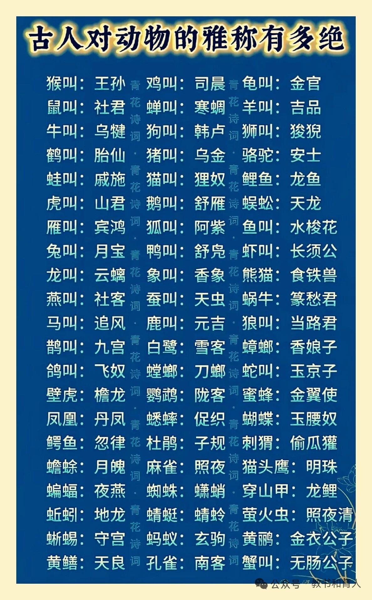古人赋予动物的雅称，实在是精妙绝伦！那扑面而来的浪漫与诗意，瞬间达至顶峰！马