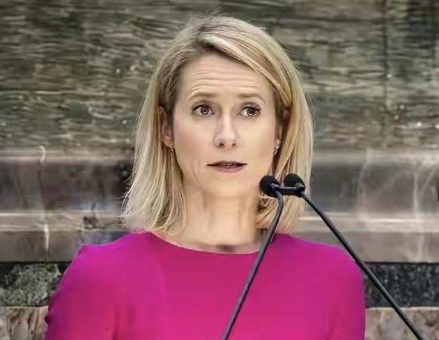 这一次乌克兰的危机大了！卡拉斯这位欧盟外长对乌克兰公开了一个不愿听到的事实，欧盟