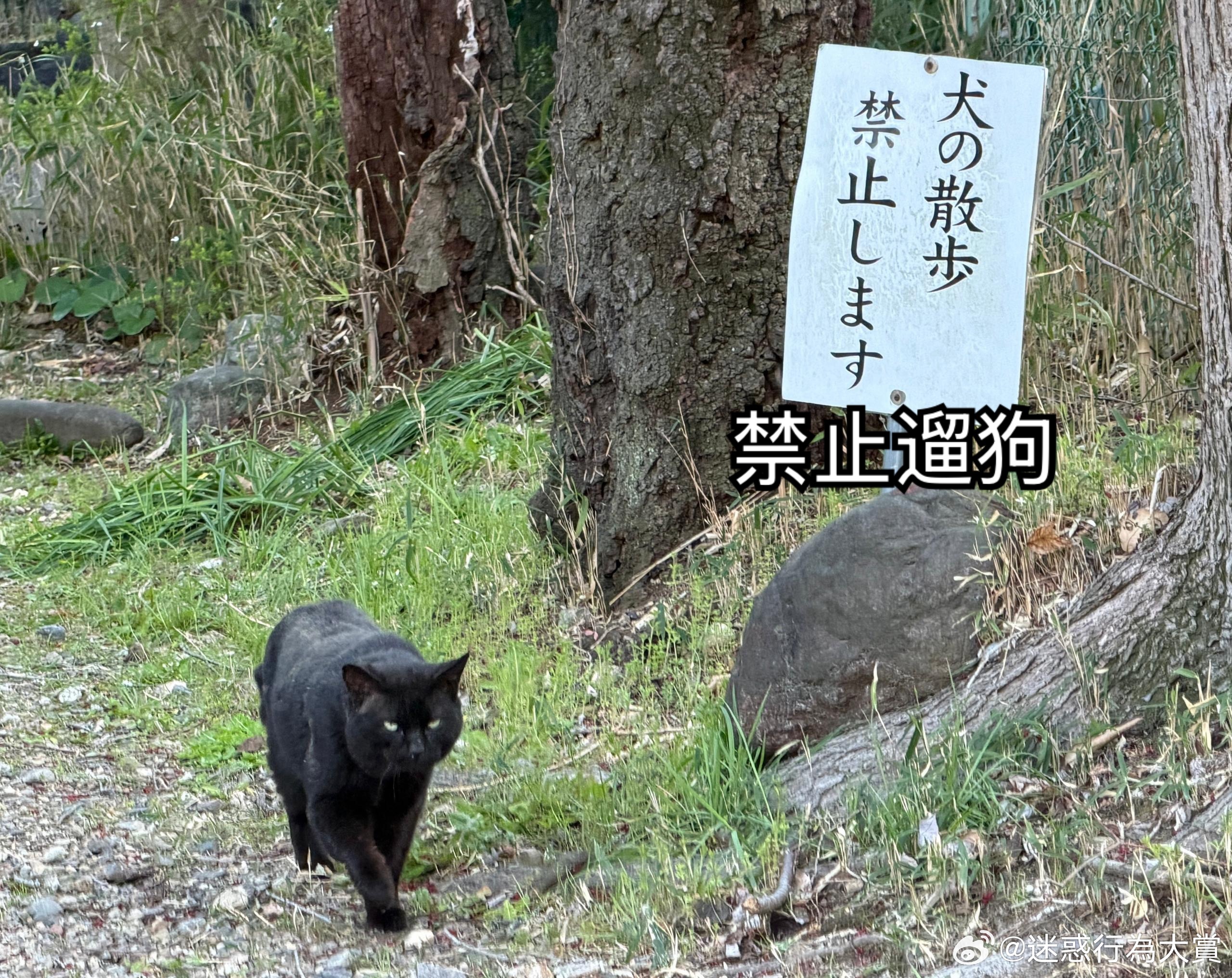 立了牌子还得来巡逻