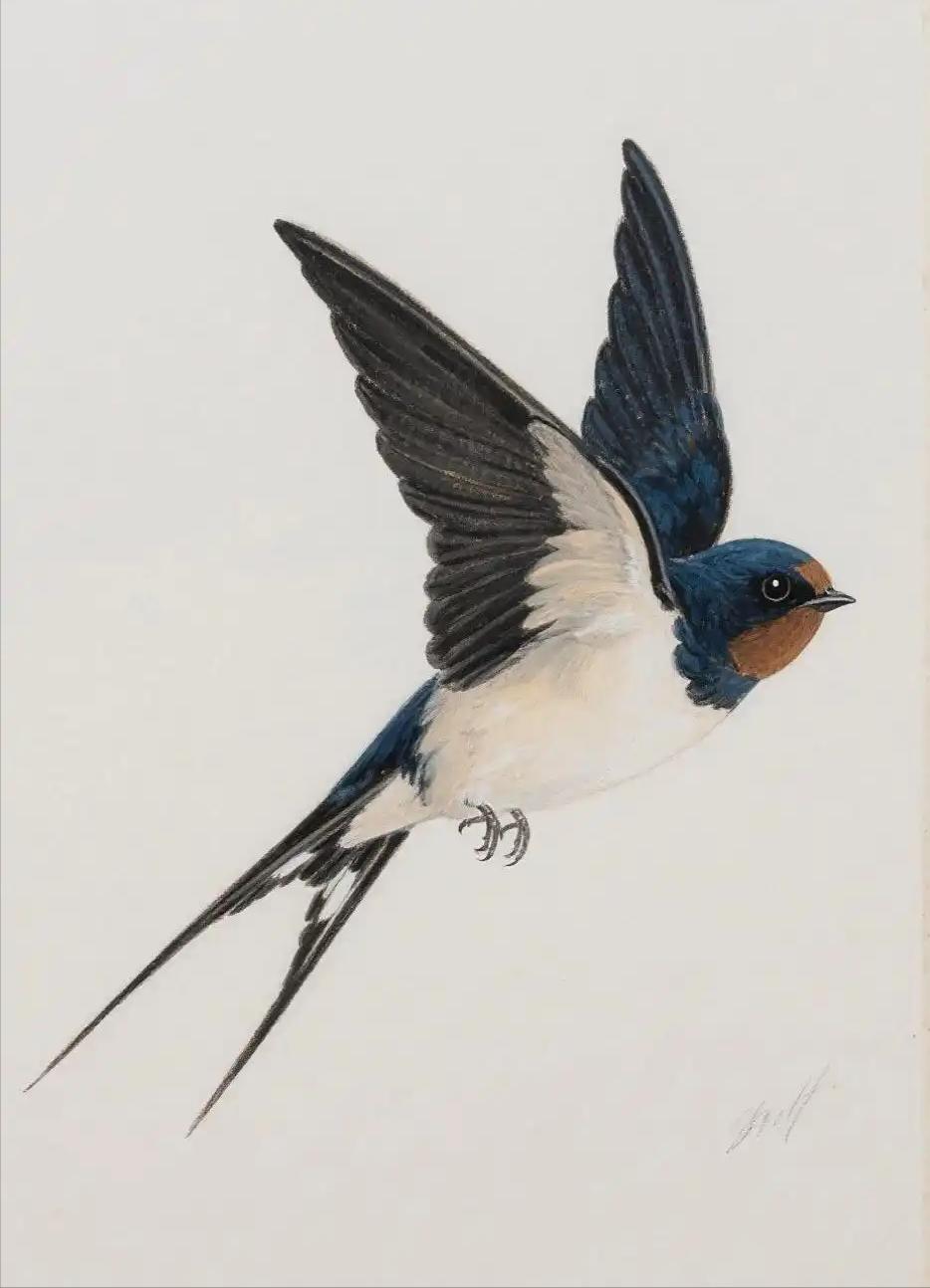 第一次意识到，燕子是没有国籍的。小时候以为燕子是我们中国的，南飞是往中国南方飞，