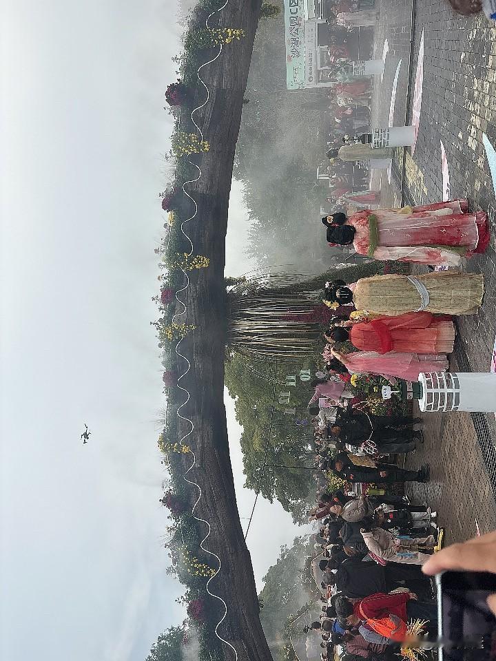 沙湖公园⛲️菊花展🌼🌼🌼