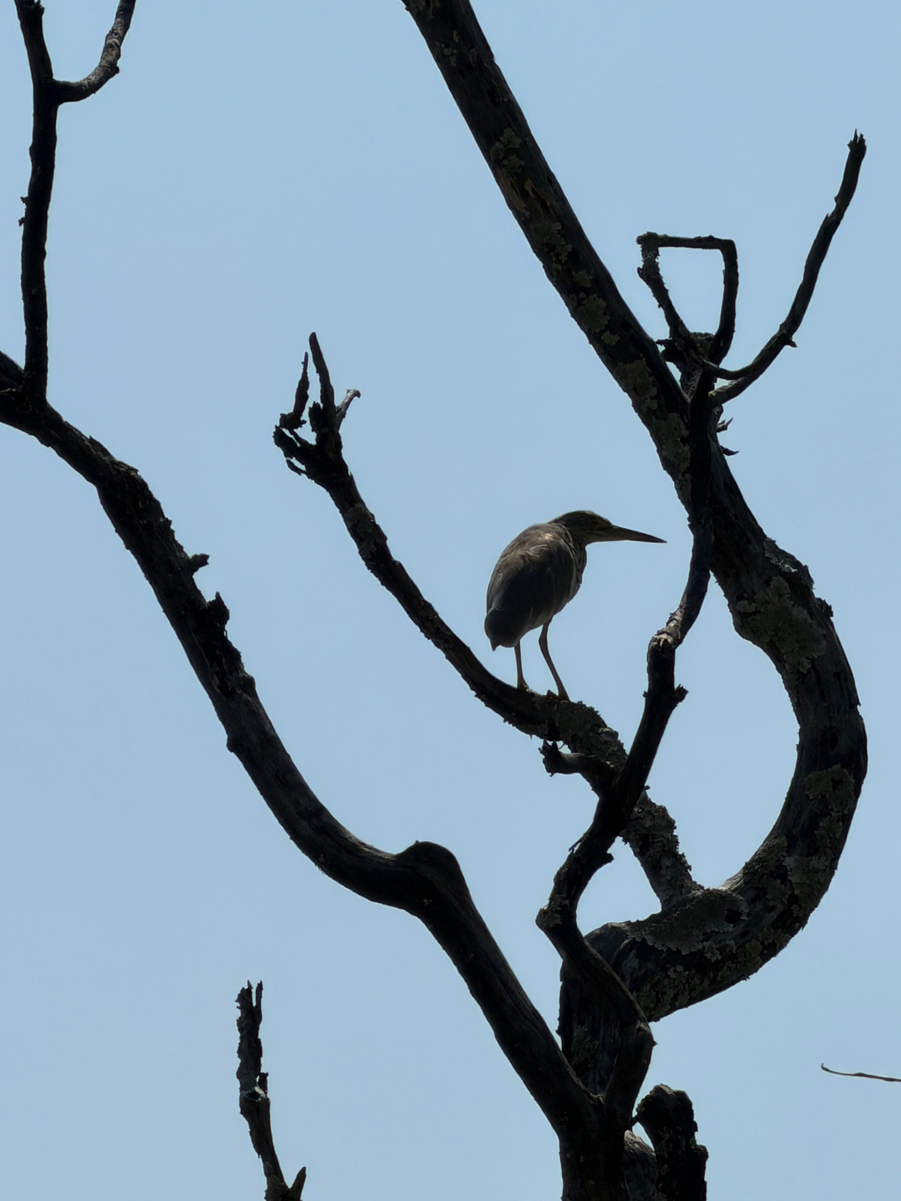 记住，人生的失败其实只有唯一的一种，就是失掉了健康。———《半山文集》