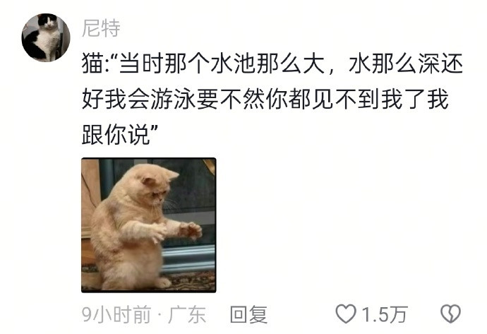 猫咪的冒险：从水池边缘到自由之海，它那惊心动魄的自救之旅。​​​