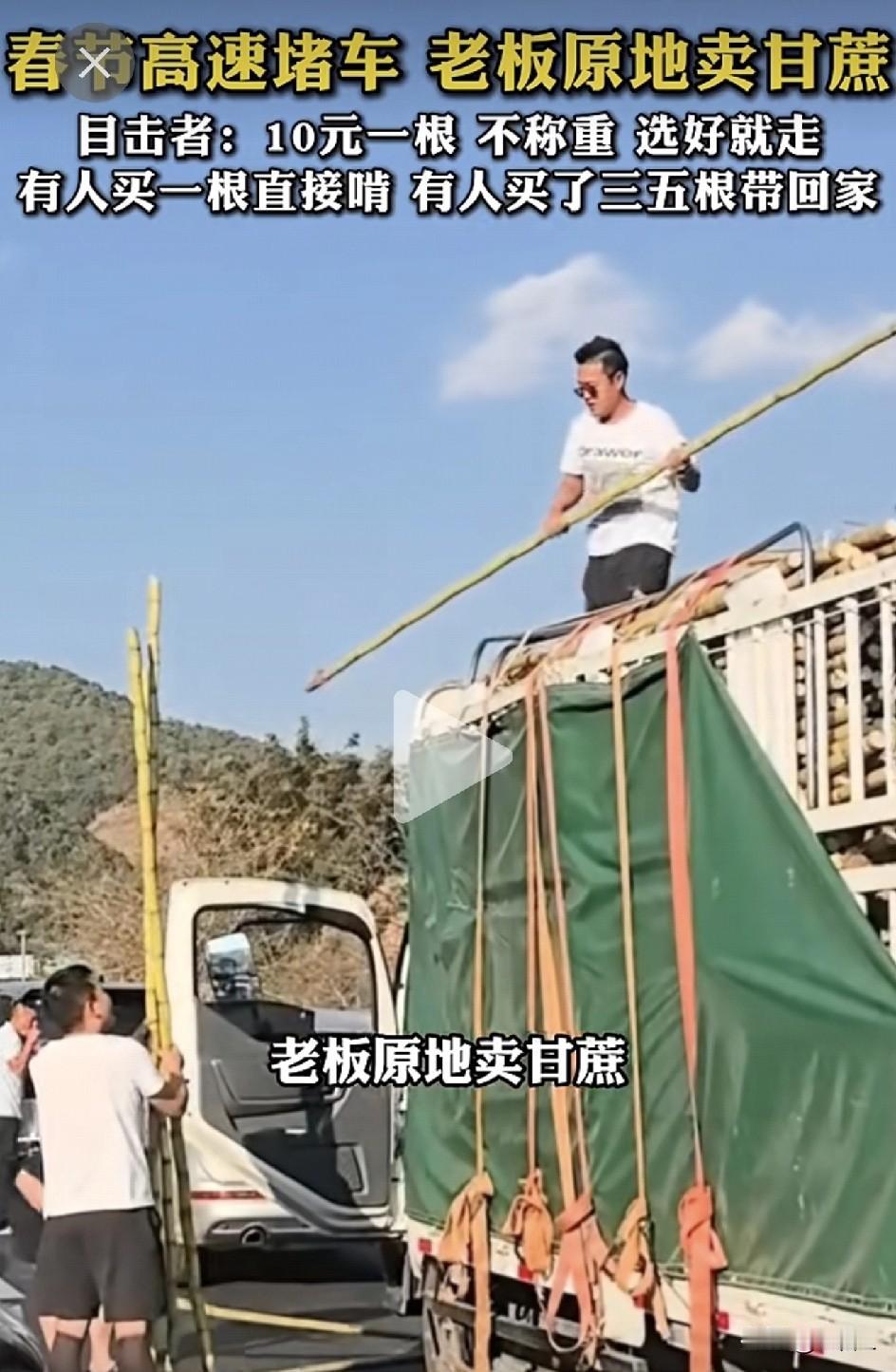 高速路秒变水果市场！云南高速堵成“长龙”，甘蔗老板当场开卖！10元一根，司机们抢