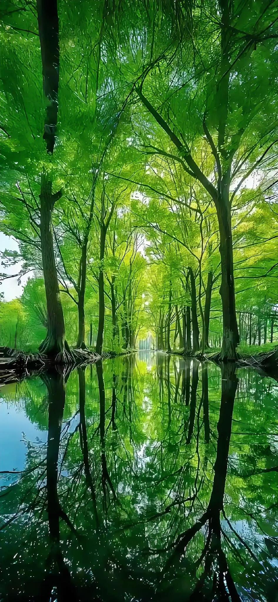 蚊子属于蚊科昆虫，吸血。蚊子的叮咬会导致各种过敏反应，还传播病毒性疾病、登革热等