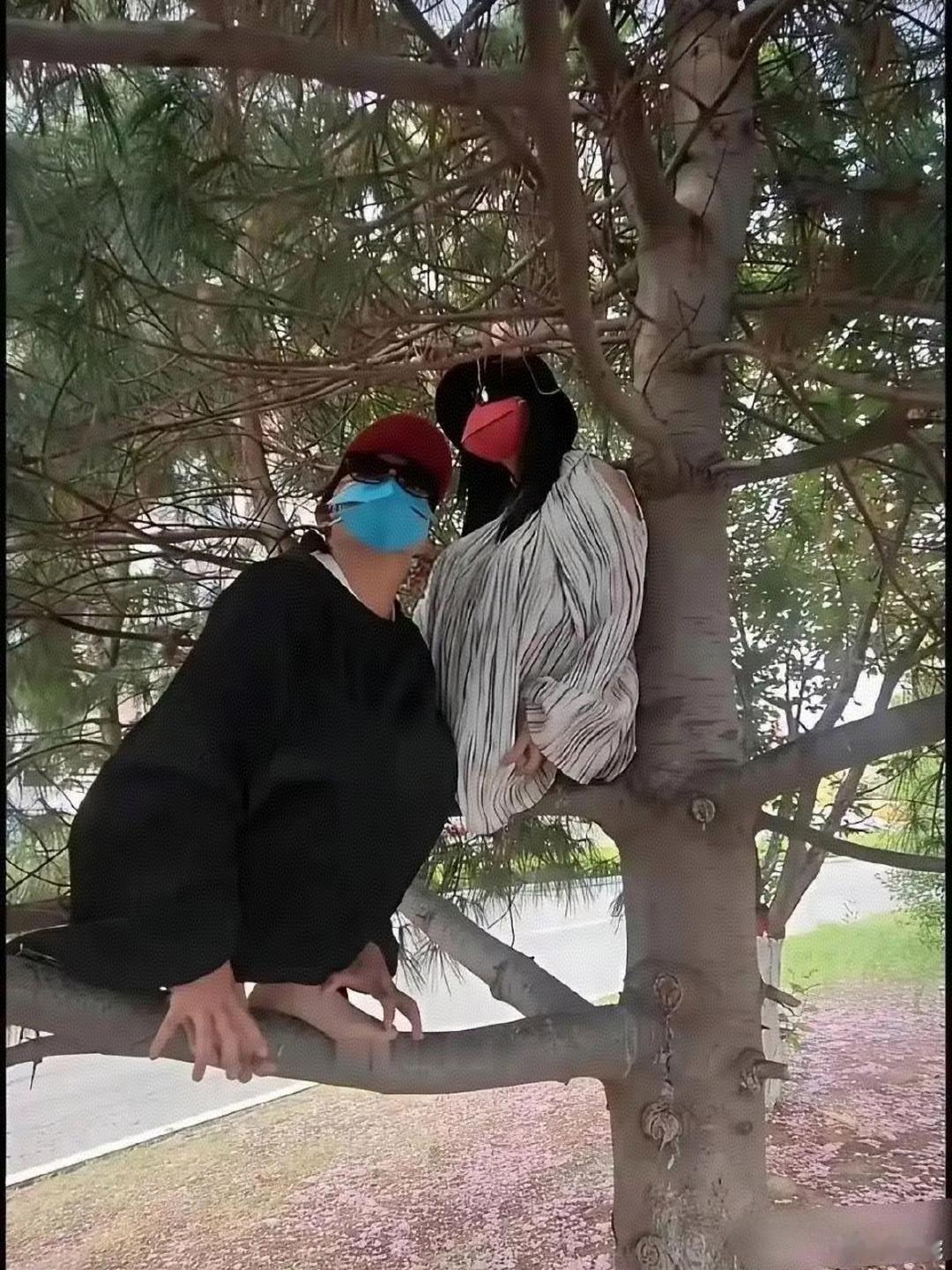 果然，人不能吃得太饱！直接上树当鸟了！