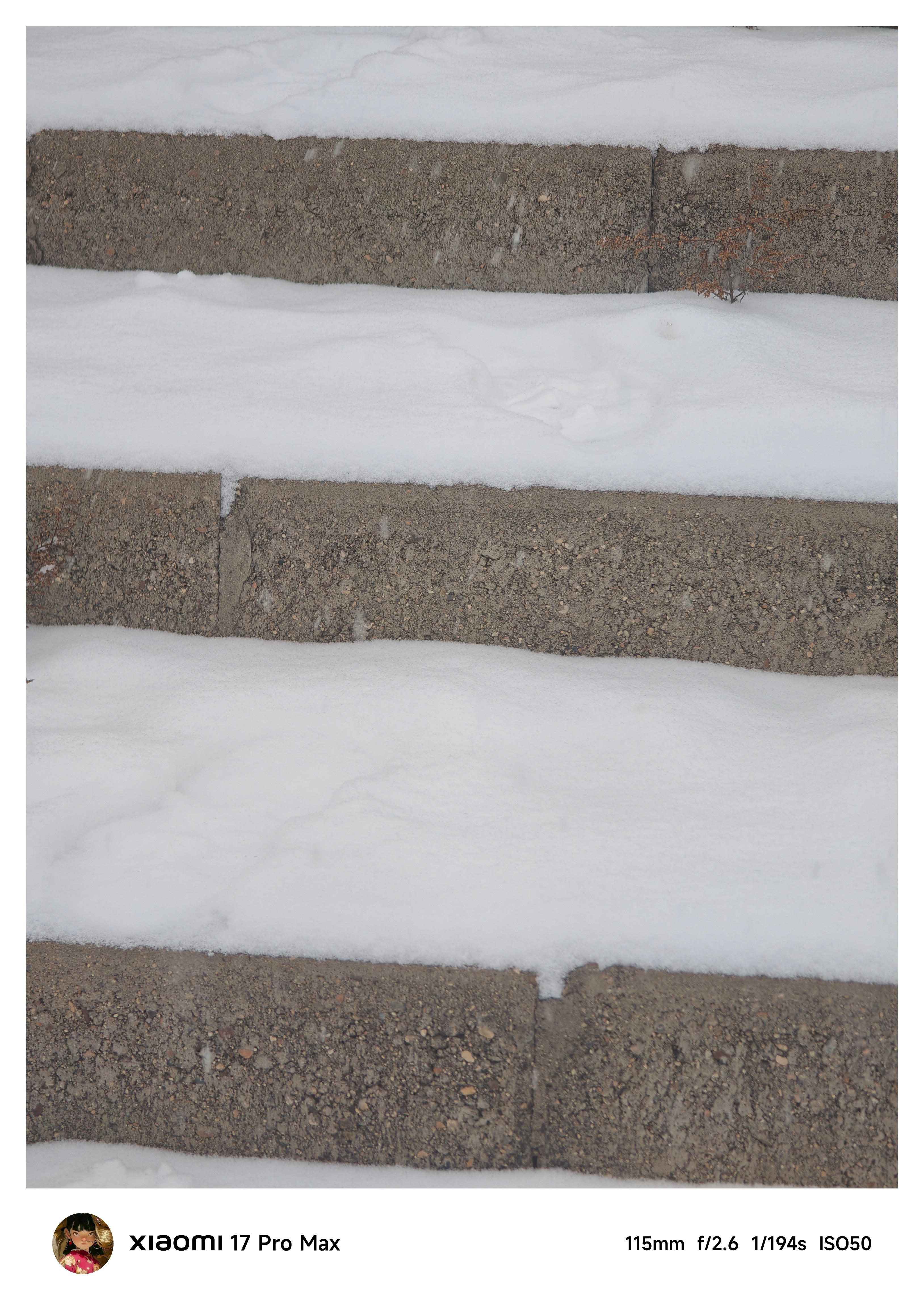 东北等地大范围降雪来袭昨天这里下了，今天没下