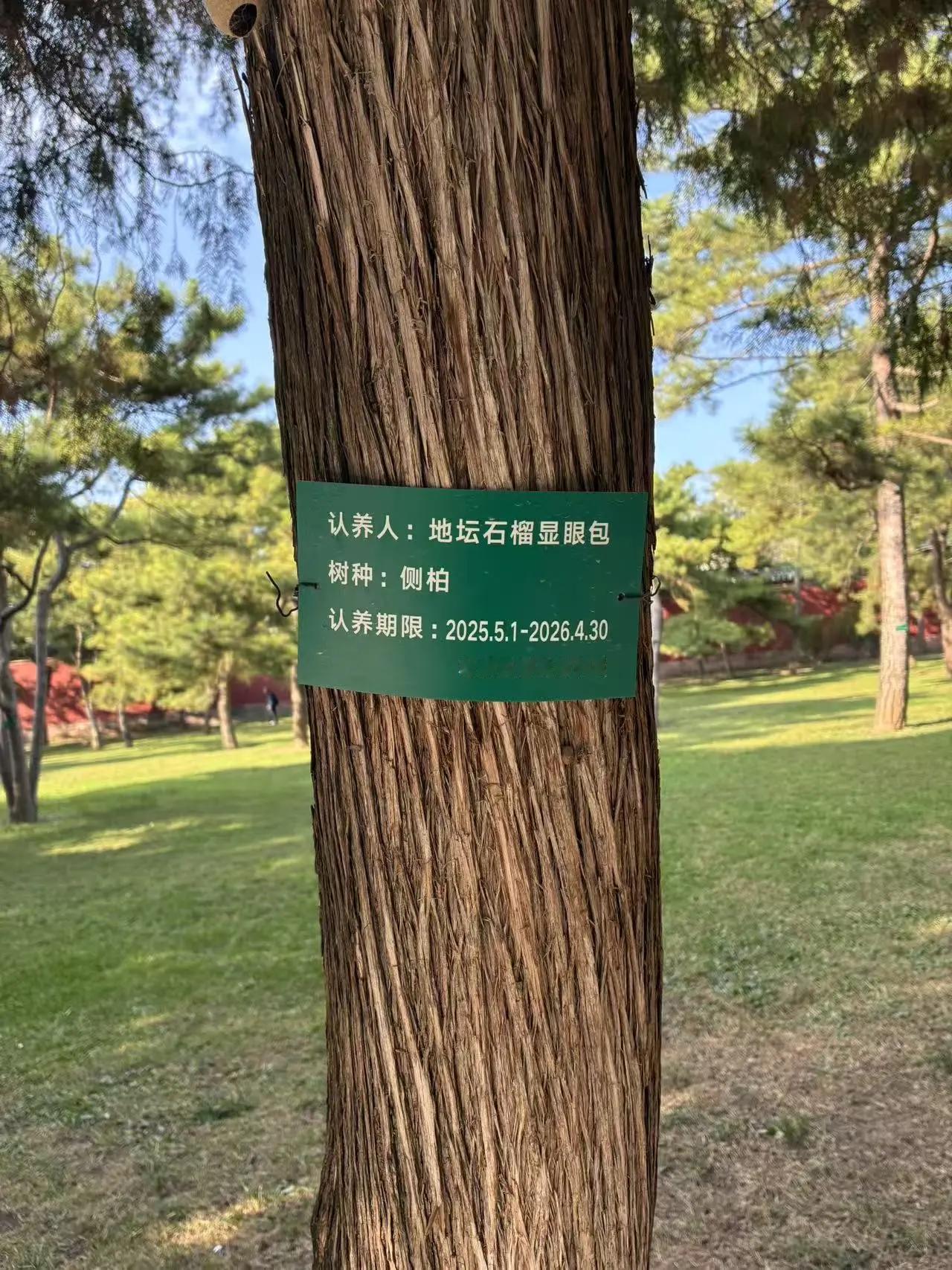 哈哈哈哈，这个昵称挺不错的[狗头]