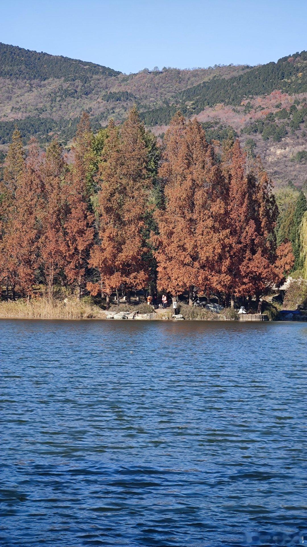 国家植物园最后一抹秋色北京你好摄影