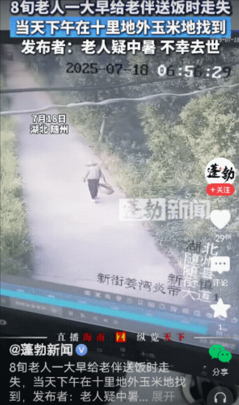 7月18日，湖北随州一老人早晨4点去地里收割芝麻，8旬老伴6点去给丈夫送早饭（如