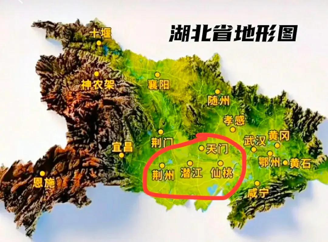 湖北的区域战略应该从“一主两翼”，逐步走向区域协同发展，特别要支持长江沿线沃野数