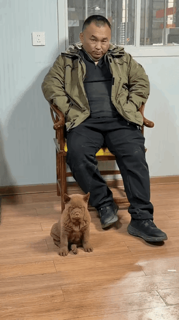 这画面太逗了！大爷和小狗的姿势、神态简直一模一样，就连那股子“生无可恋”的劲儿都