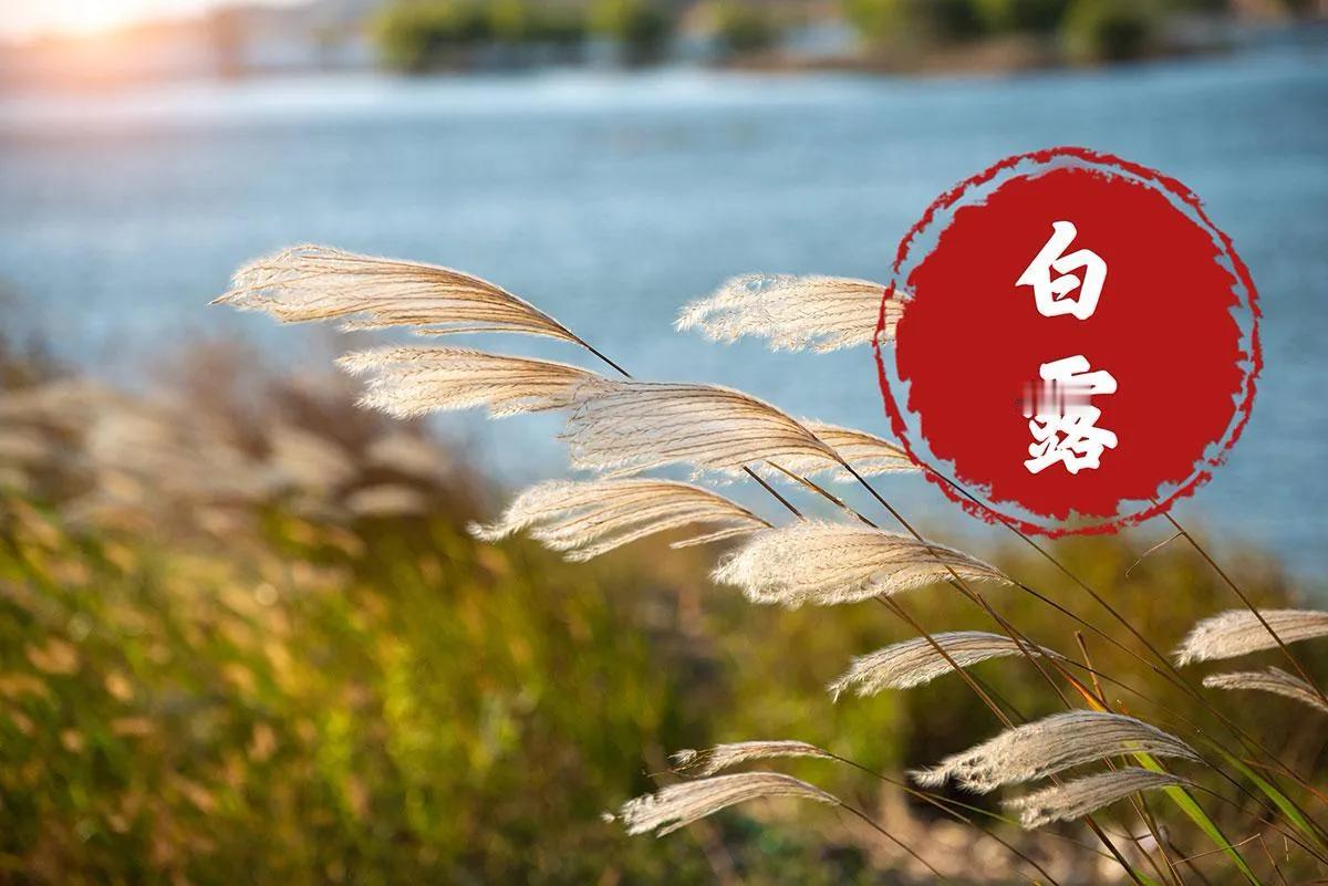 明日白露前一天，有钱没钱别忘：吃3样传统美食，做2事，忌2样，顺应时节，为平安度