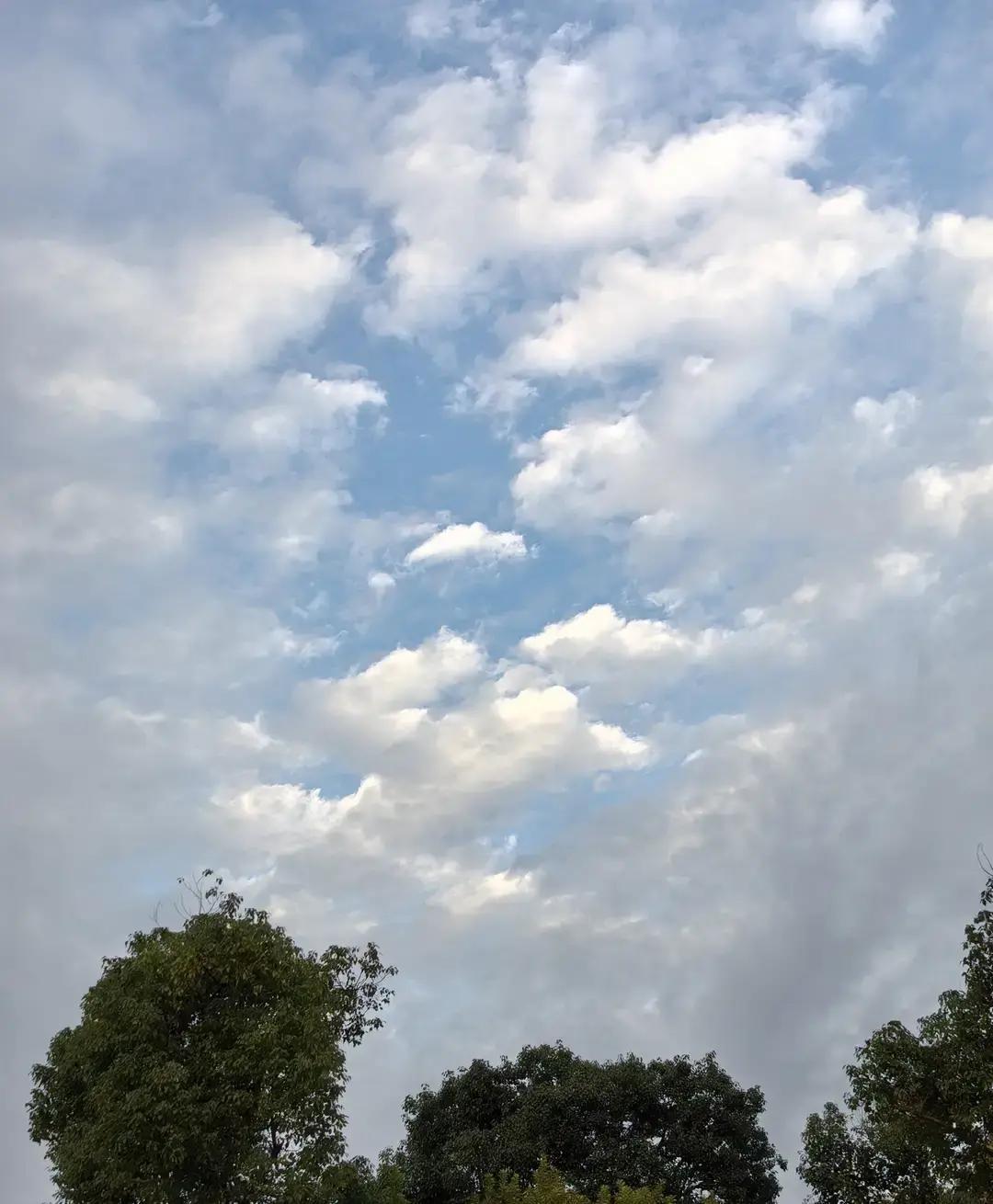 权力让人发光，也可能让人走偏。有人把她形容成强硬到近乎偏执的政客。我不关心标签，