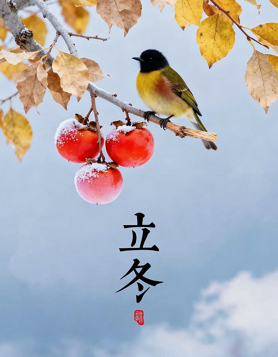 今年冷不冷，全看明天立冬下雨与否，老话说得好“不怕立冬晴，就怕立冬雨