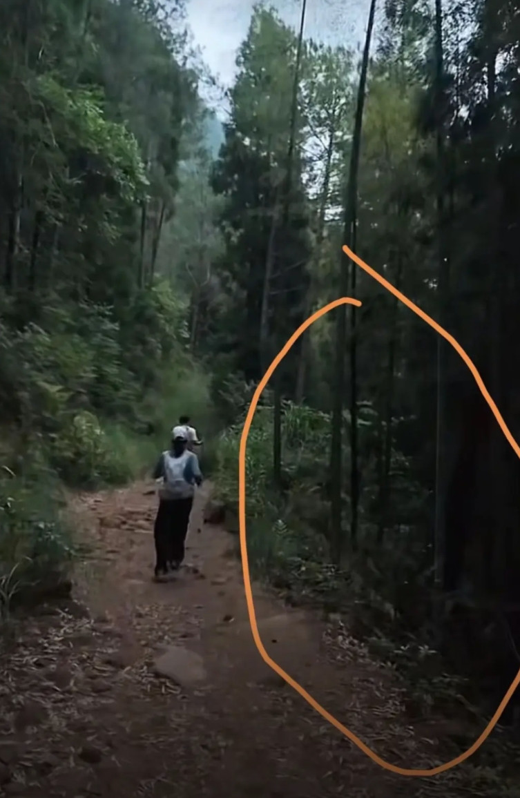 莆田石谷解山给所有心大的家长上了一课，意外就是发生在分秒之间。别说你上山的时候看