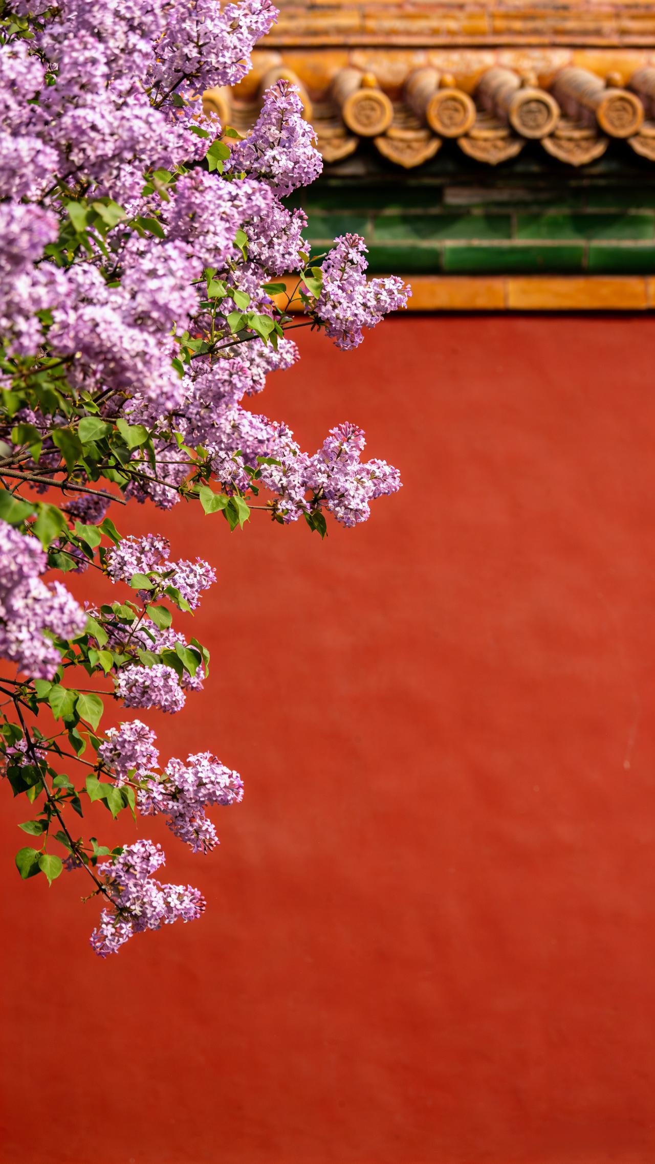 一位退休人员说：“现在有很多缺德的领导，只让牛马干活，不管牛马死活；对上阿谀奉