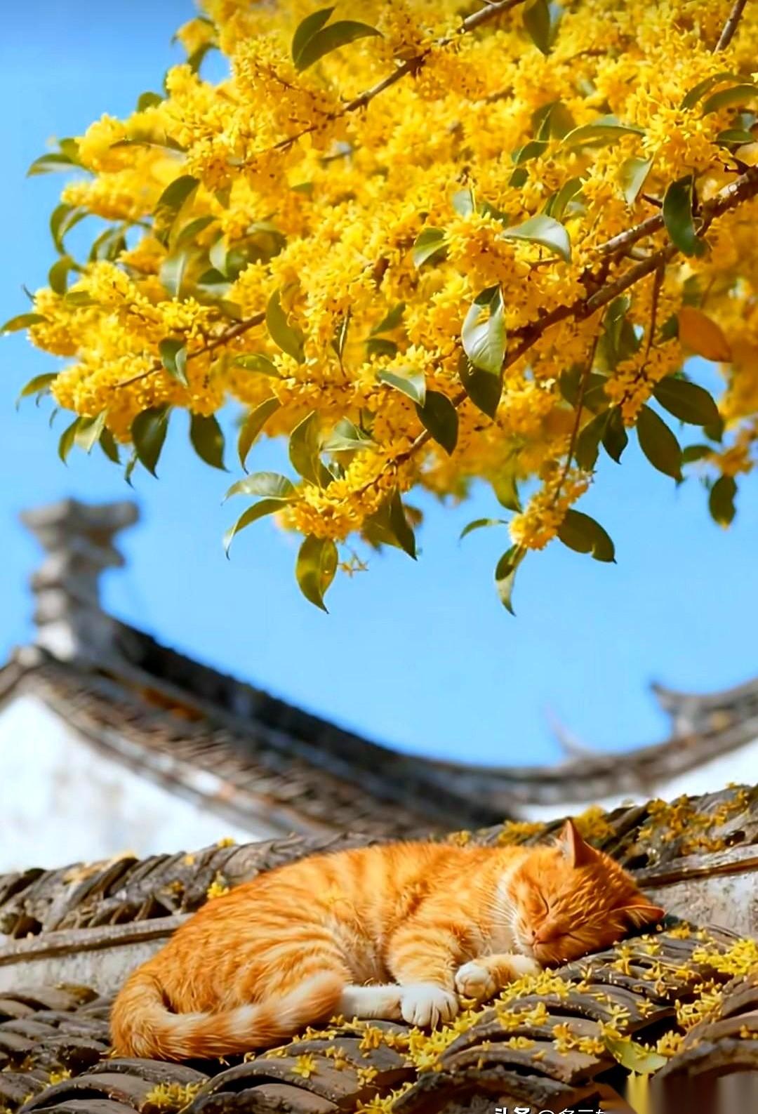 前夫哥一个电话打过来：报价给我往上加10万。我这边还没点保存，前妻姐的微信就弹