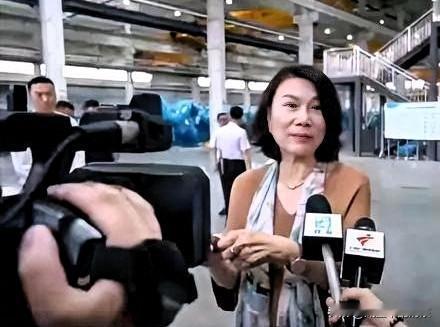 荷兰对华禁令有用吗？荷兰近日将碳化硅外延炉和DUV光刻机纳入对华出口禁令名单