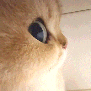 午餐我的砂锅裂了，难过☹你们吃啥​​​