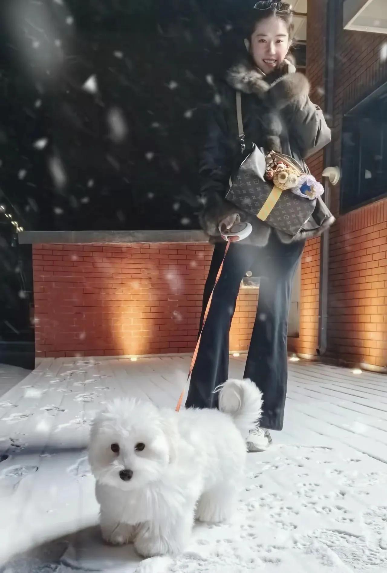 刘亦菲雪夜遛狗，身穿12万外套，模样清纯甜美似18岁女学生，冻龄状态尽显，穿搭更