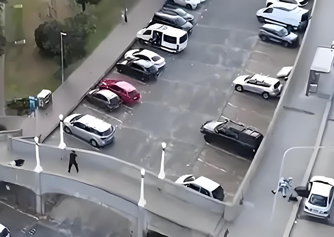 破防！悉尼枪击案80岁老人夺枪护众，与妻子相拥倒在血泊，华人行车记录仪拍下全程！