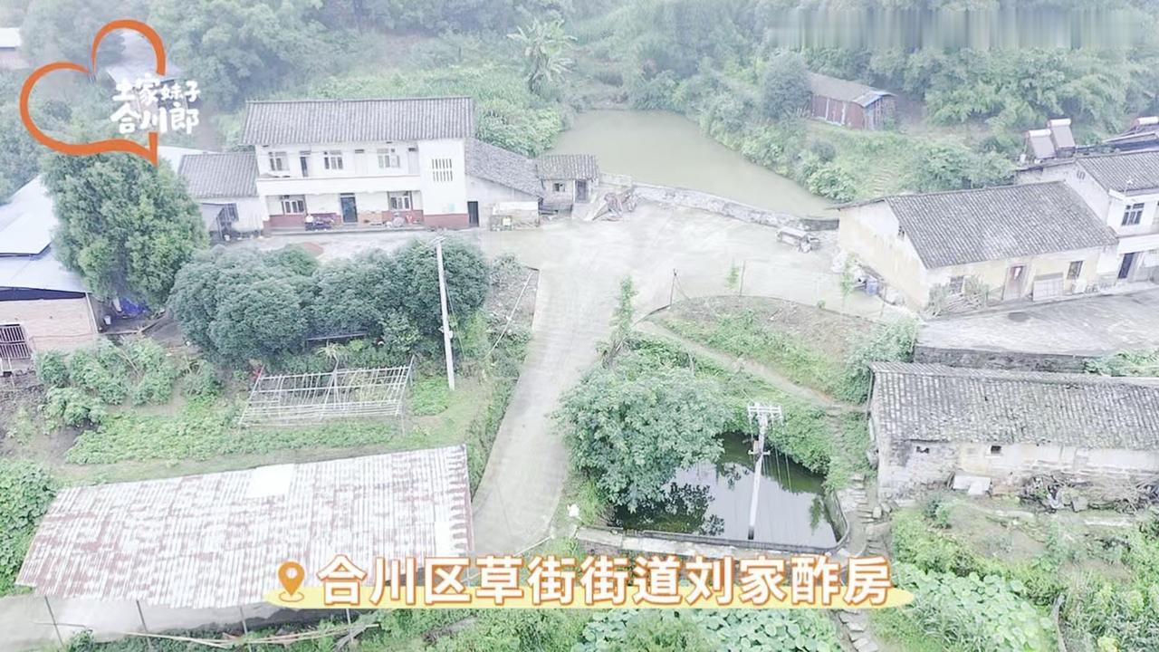 🐂10年养牛大户分享经验：从几头到百头的秘诀林总从父亲那里接手家族农场，十年