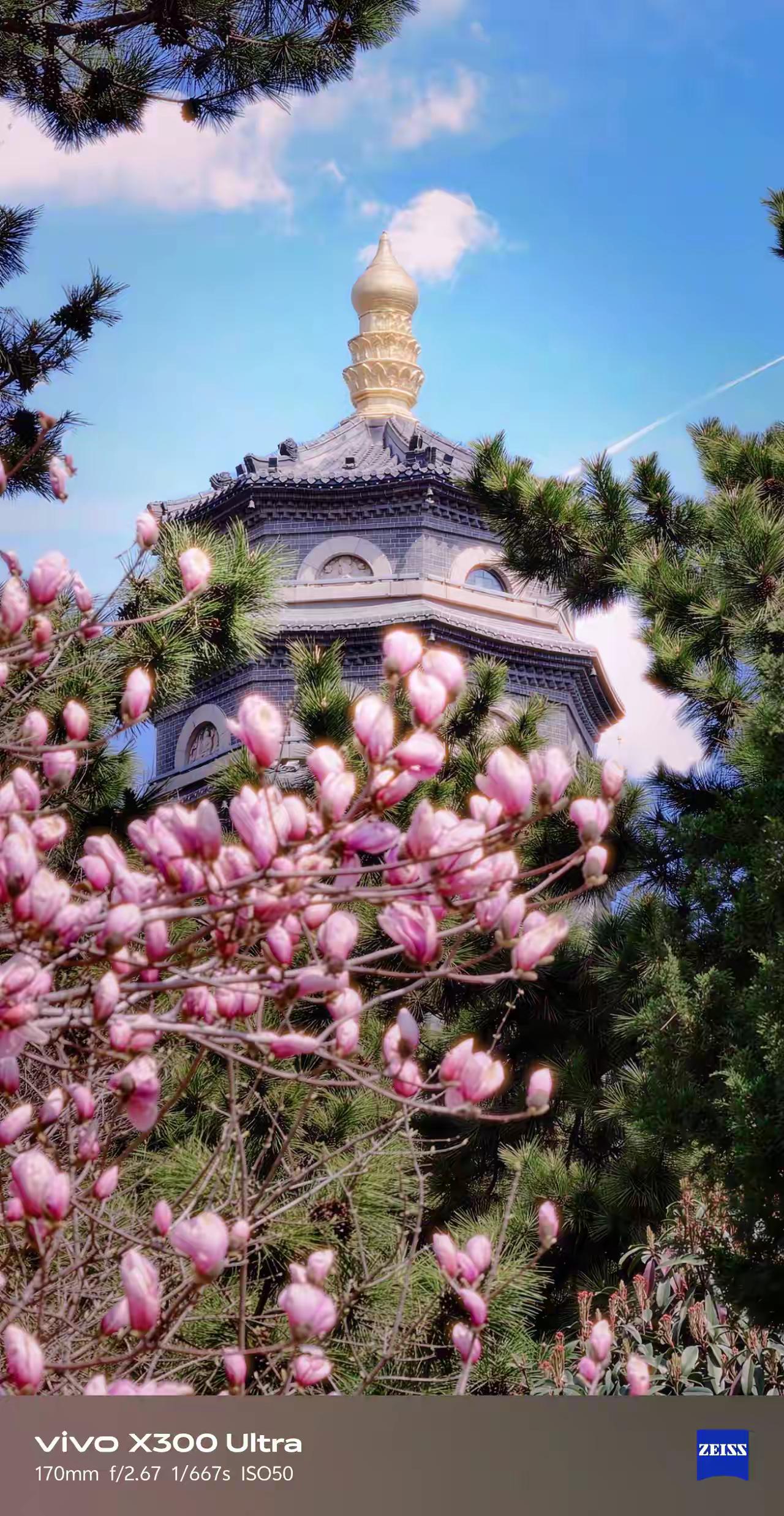 准到吓人的15条识人术：1.选妻——看丈母娘；2.嫁人——看婆婆；3.